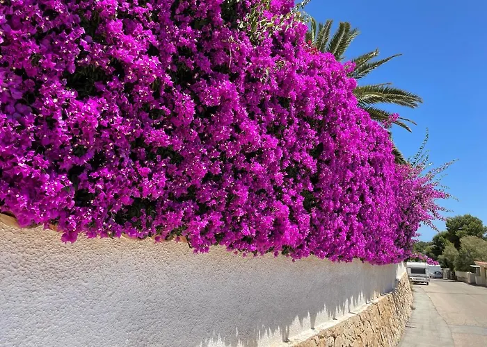 Apartament Casa Soluna *